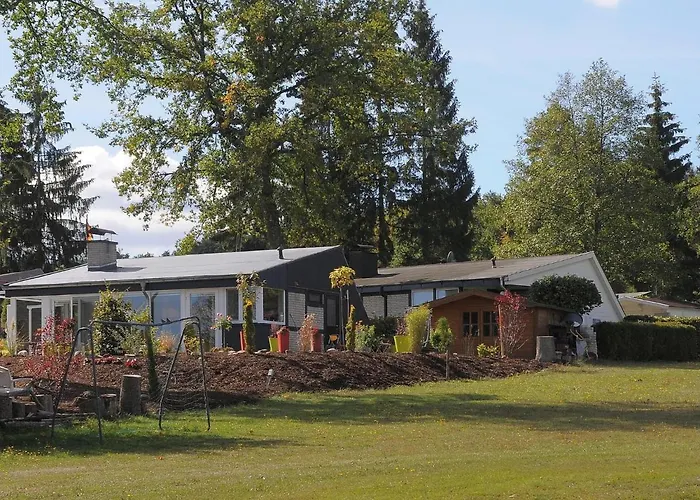 In Gerolstein Forest