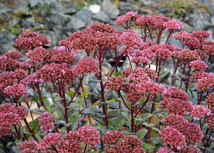 In Gerolstein Forest Dom wakacyjny Hinterhausen