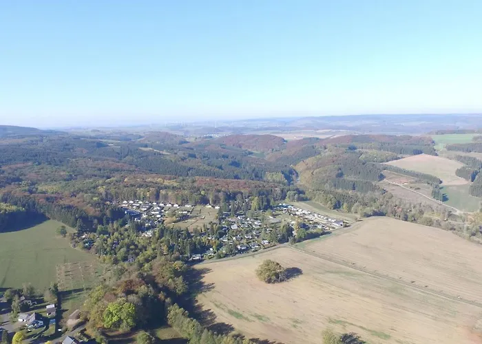 In Gerolstein Forest