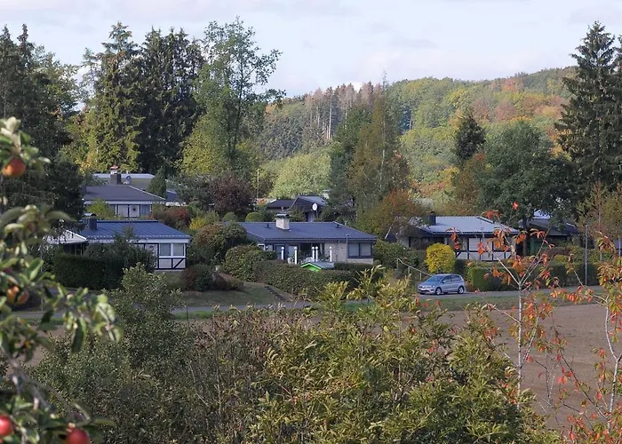 In Gerolstein Forest Hinterhausen
