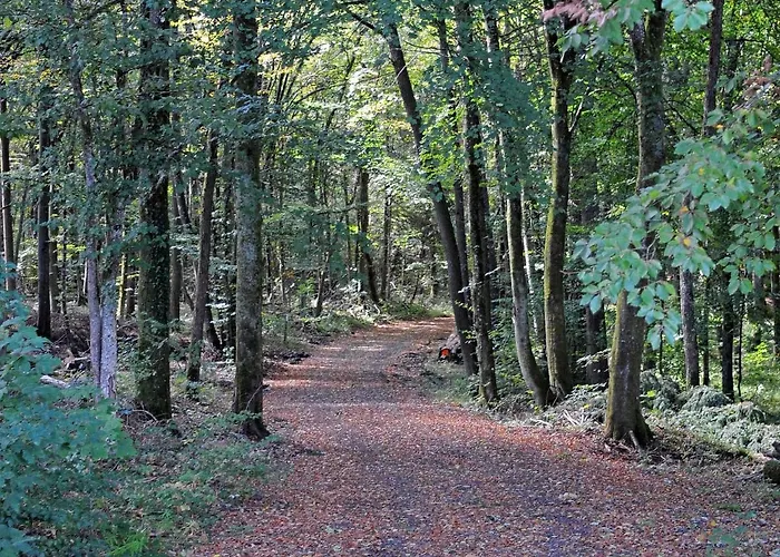 In Gerolstein Forest *
