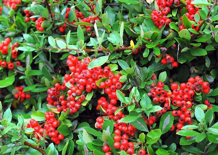 Dom wakacyjny In Gerolstein Forest Hinterhausen