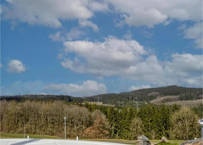 In Gerolstein Forest