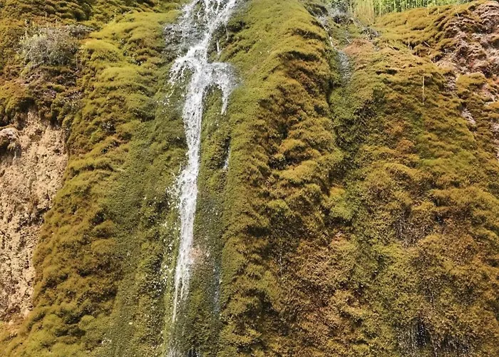 In Gerolstein Forest Dom wakacyjny Hinterhausen