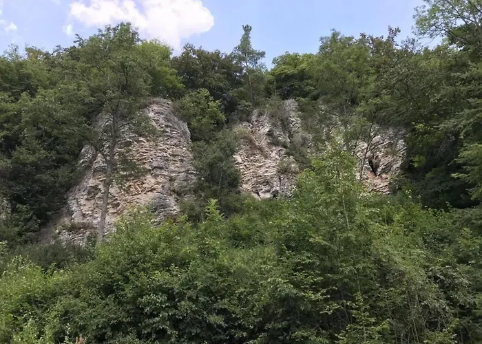 In Gerolstein Forest * Hinterhausen